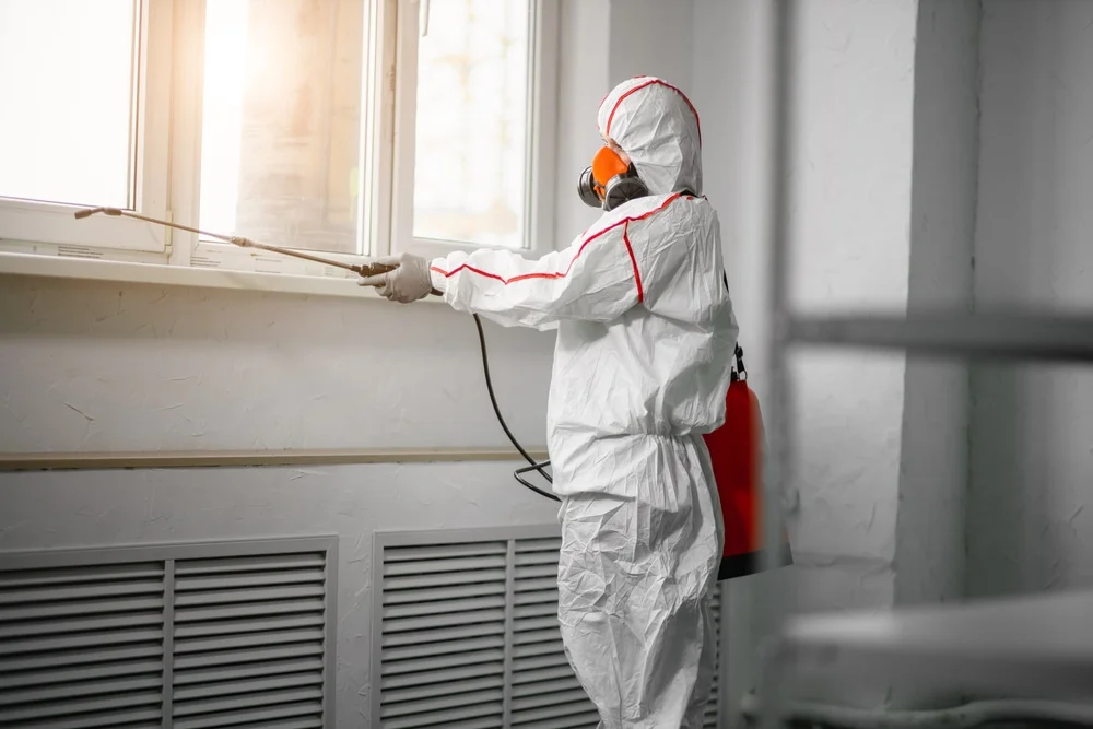 Professional mold remediation services in Sunbury, OH